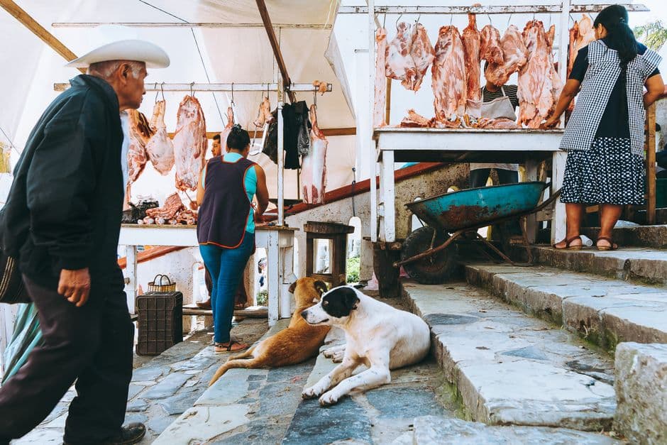 A vibrant outdoor market scene in Cuetzalan, Mexico, showcasing local vendors and meat stalls.