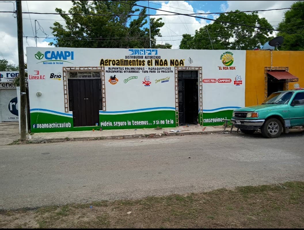 Nohoch Nah botanero familiar – fachada colorida y mesas bajo el techo plano con aire acondicionado, muestra del interior y una bandeja de ceviche