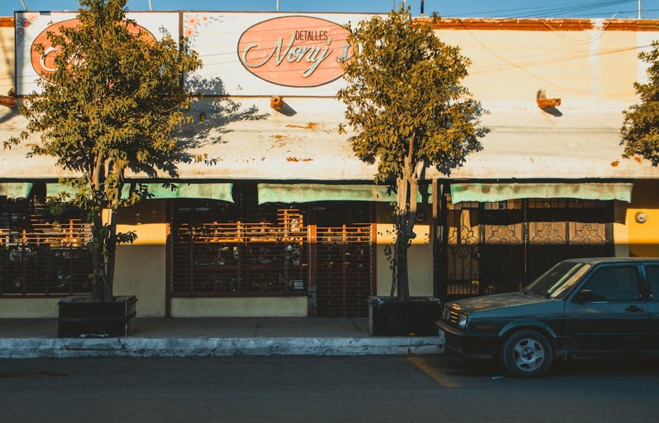 Sunlit view of a charming storefront in Pedro Meoqui, Mexico with vibrant urban atmosphere.