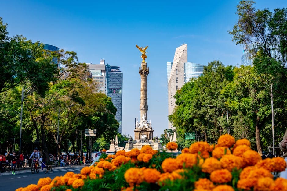 View of the Angel of Independence with vibrant marigolds and cityscape in Mexico City.