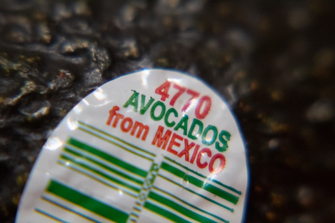 Los 4 mejores mariscos de Cdad. Gral. Escobedo — Junio 2026