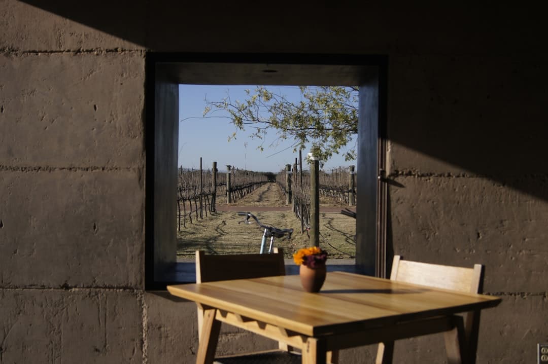 Table and chairs by a window overlooking vineyard