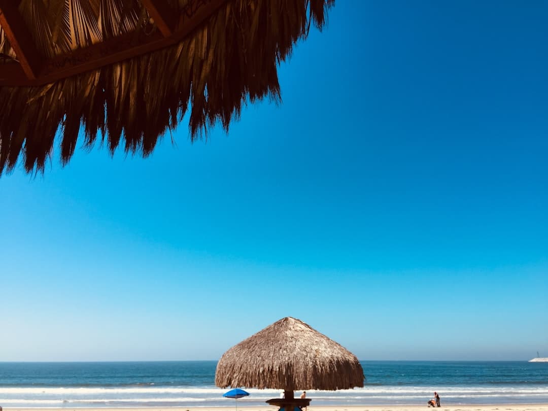 Los 5 mejores mariscos de Ensenada — Junio 2026