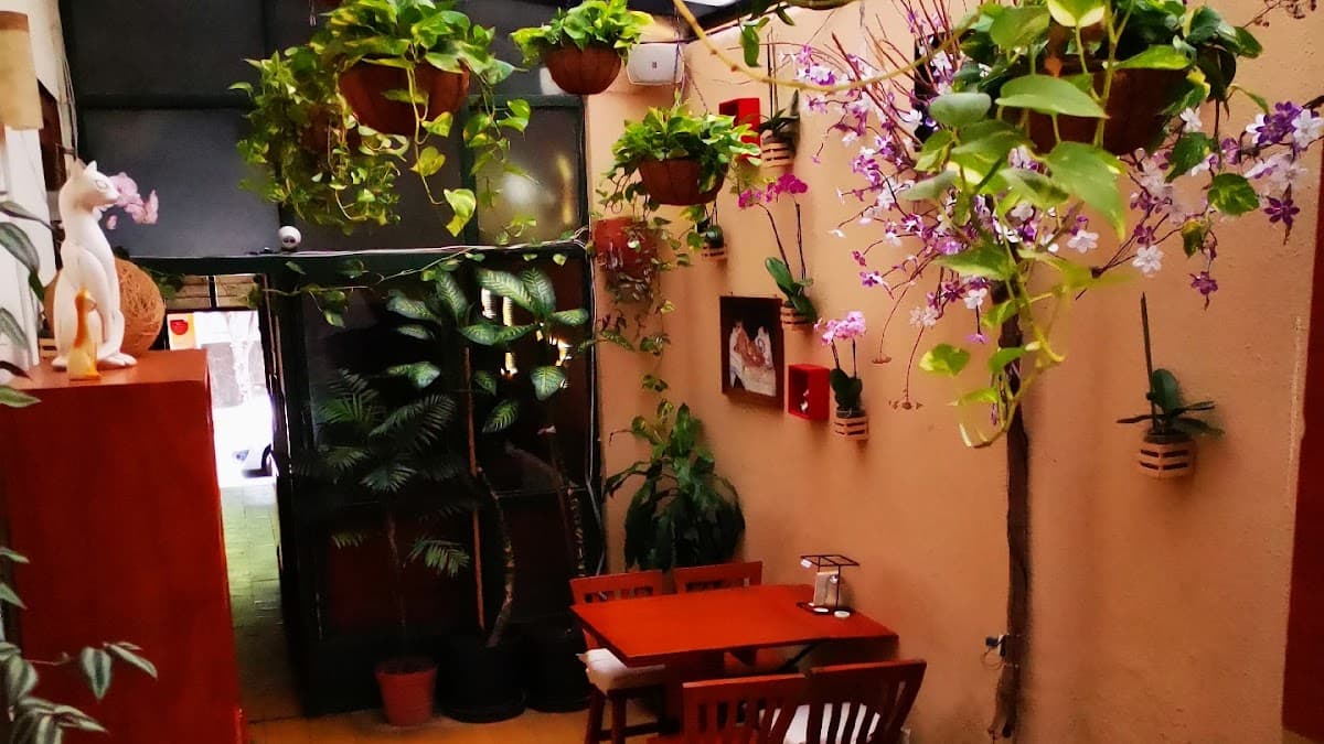 Vista frontal de Almaena Restaurante con su letrero y clientes disfrutando tacos de barbacoa en la terraza