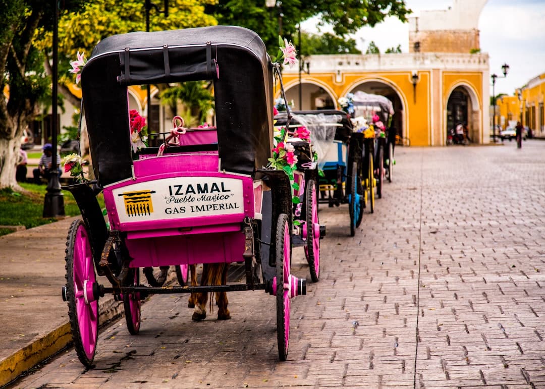 horse carriages on road side near park