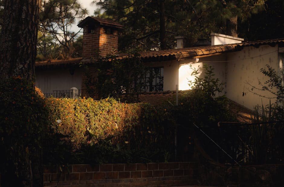 Sunlit view of a rustic house with ivy and chimney in Mazamitla, Mexico.