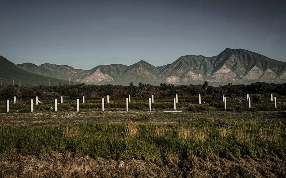 A field with mountains in the background