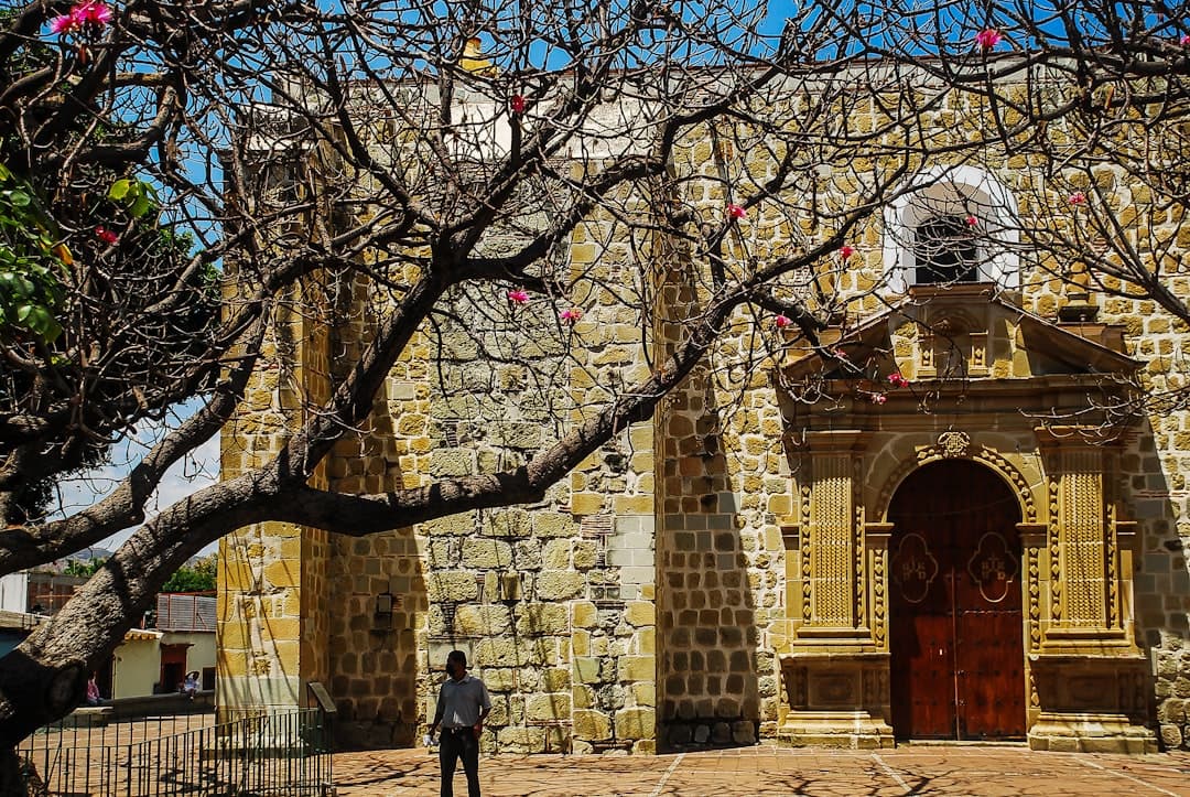A stone church is framed by bare tree branches.