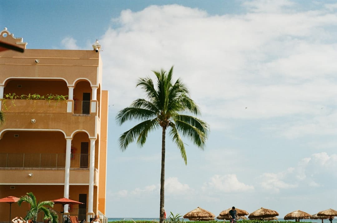 Building and palm tree by the ocean with umbrellas