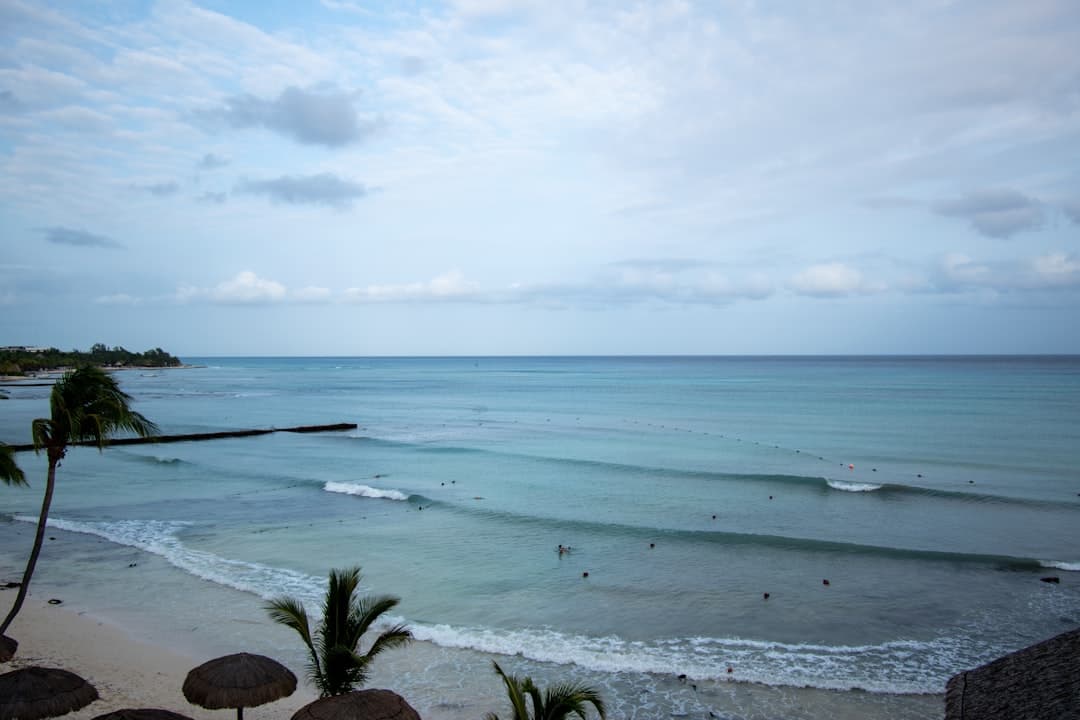 a view of a beach with people in the water