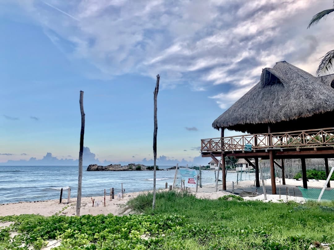 a hut on a beach next to the ocean