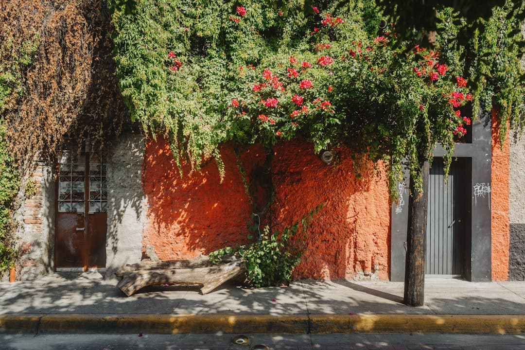A building that has a bunch of plants growing on it