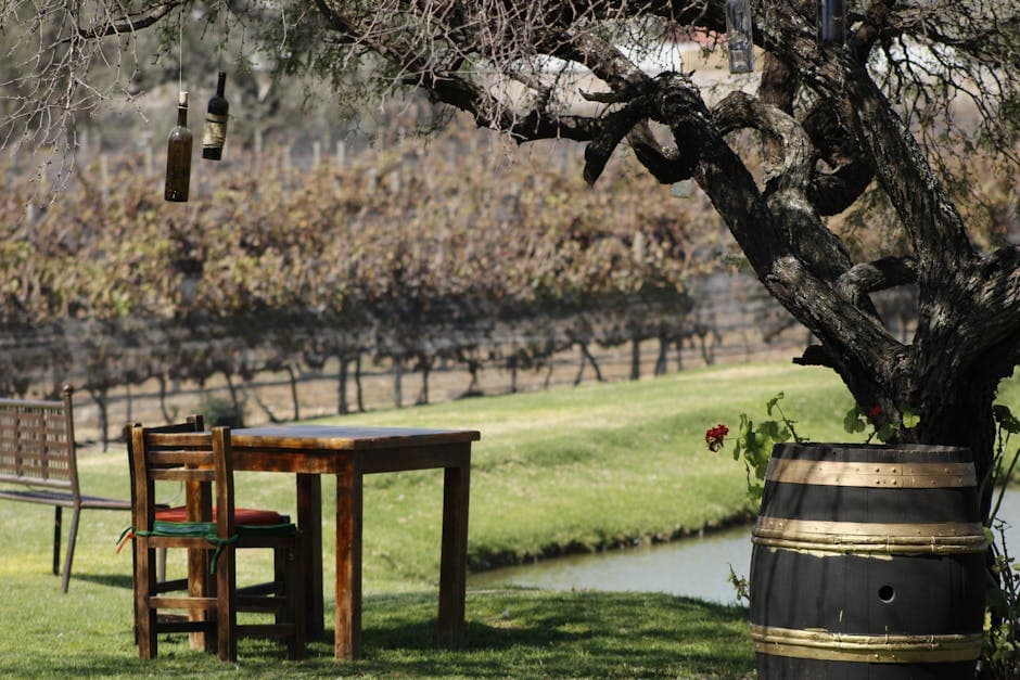 Rustic wooden table and chair in a vineyard setting, capturing the serene essence of rural Santiago de Querétaro.