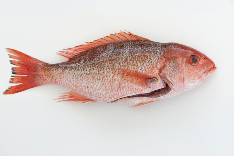 Los 4 mejores mariscos de Tonalá — Junio 2026