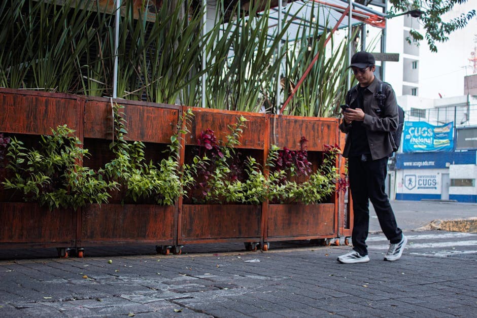 Man checks phone while walking past vibrant city plants in Mexico City.