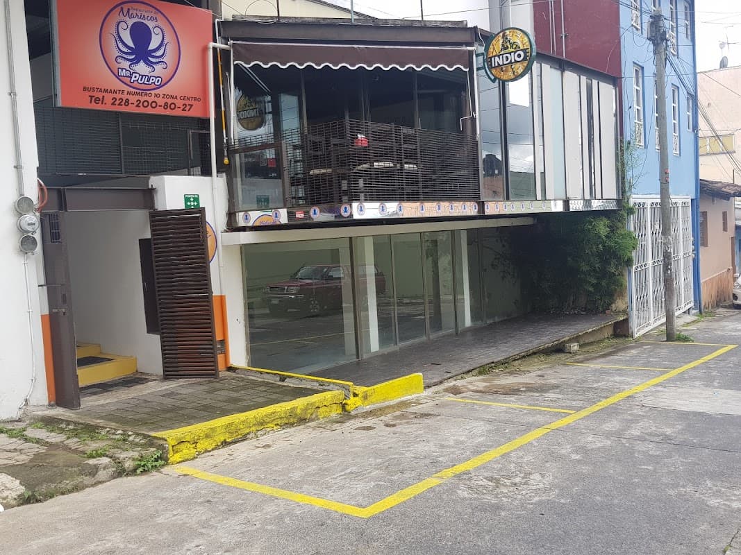Mr. Pulpo: el pulso del mar en Xalapa