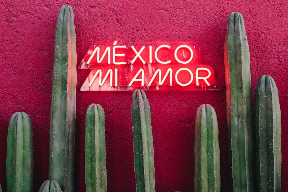 Vibrant cactus plants against a red wall with a neon sign, 'México mi amor', in Mexico City.