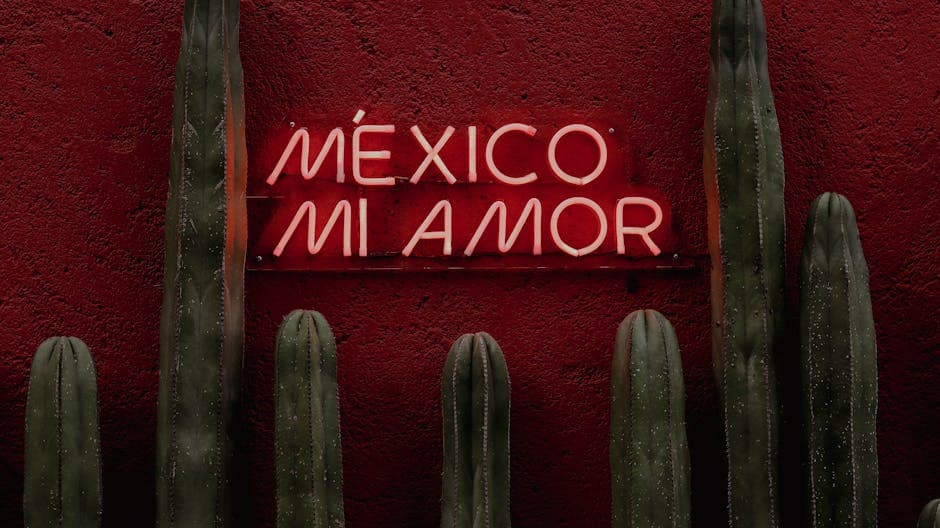 Vibrant neon sign reading 'México Mi Amor' with cactus and red background in Mexico City.
