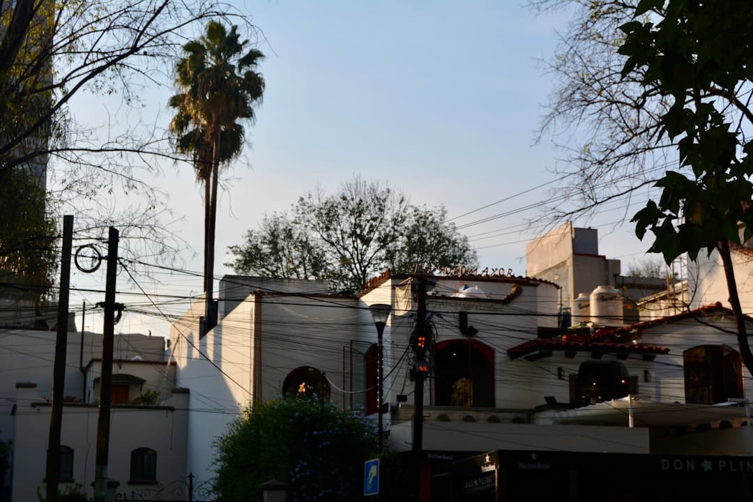 Buildings and palm tree under a clear sky