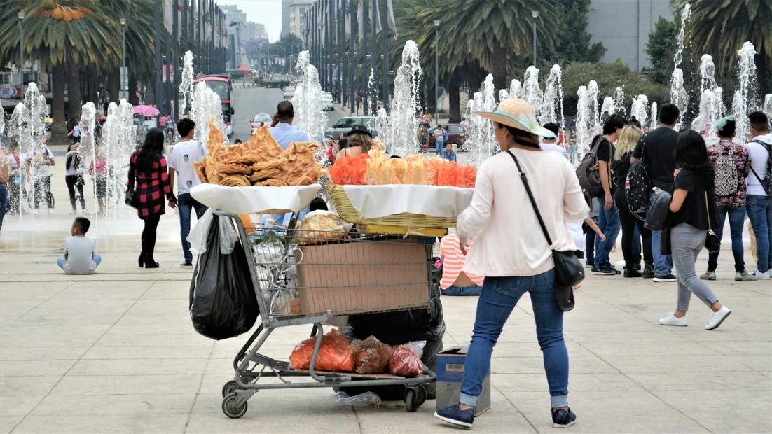 Comercio Especializado