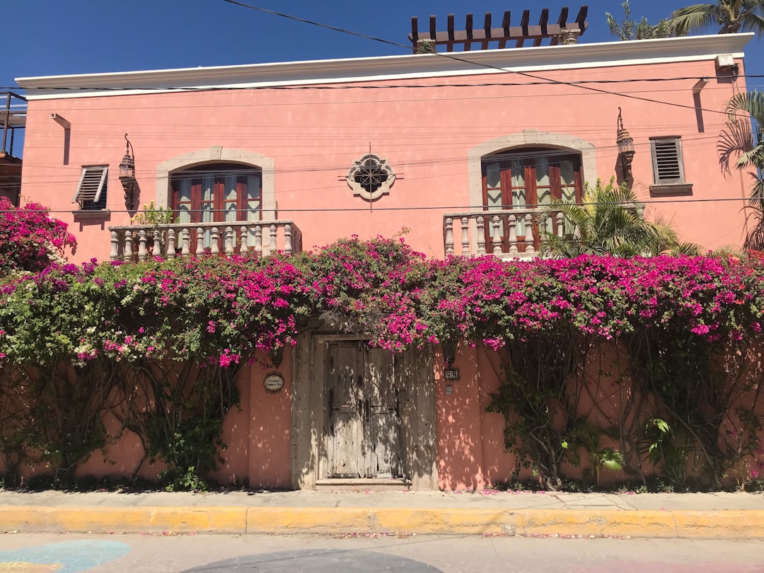 a pink building with pink flowers growing on it