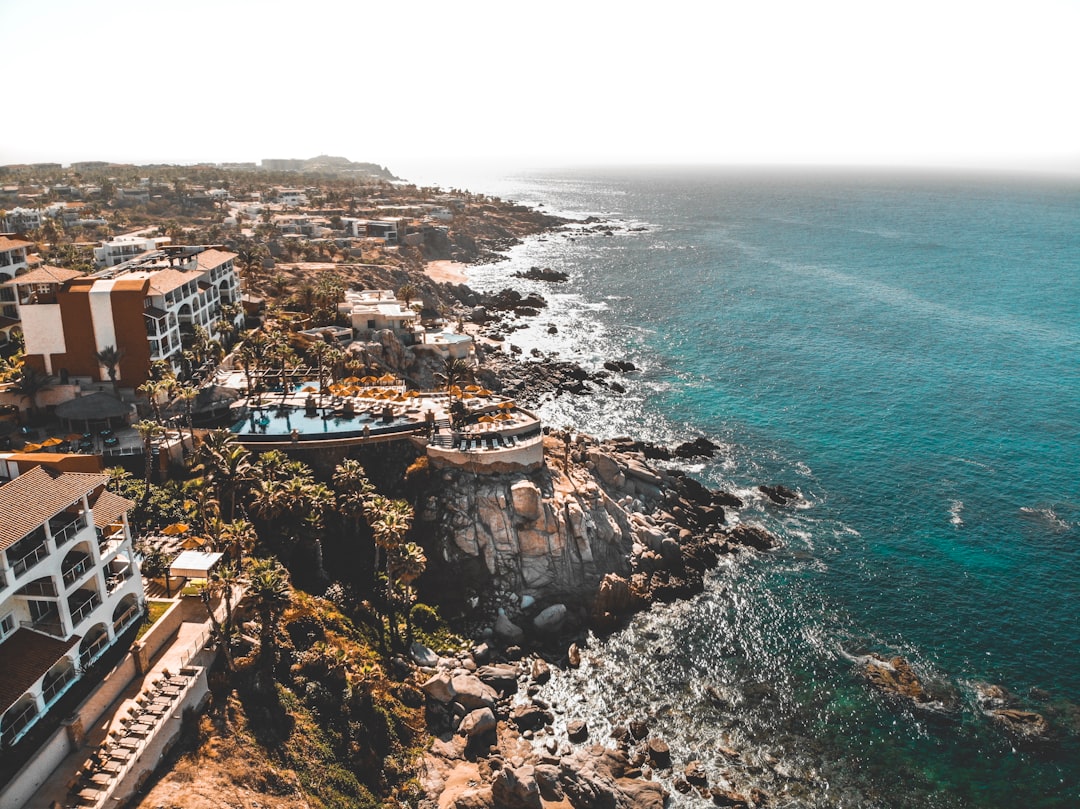 bird's eye photography of architectures and blue ocean under blue sky