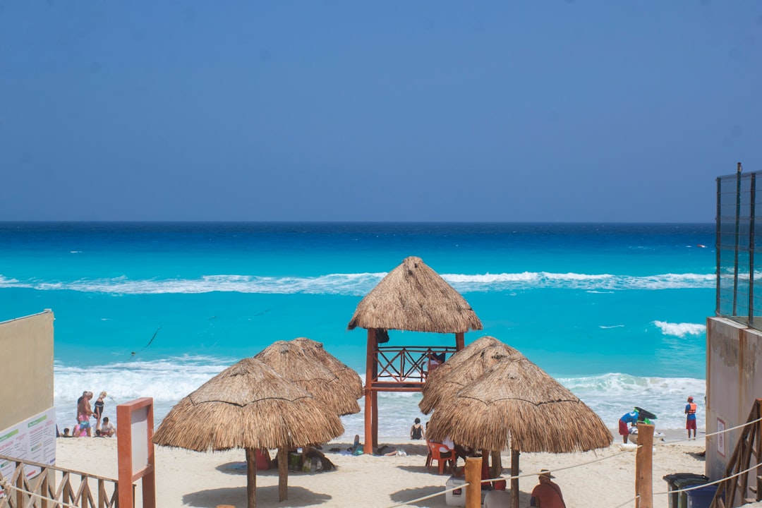 straw umbrellas on a beach