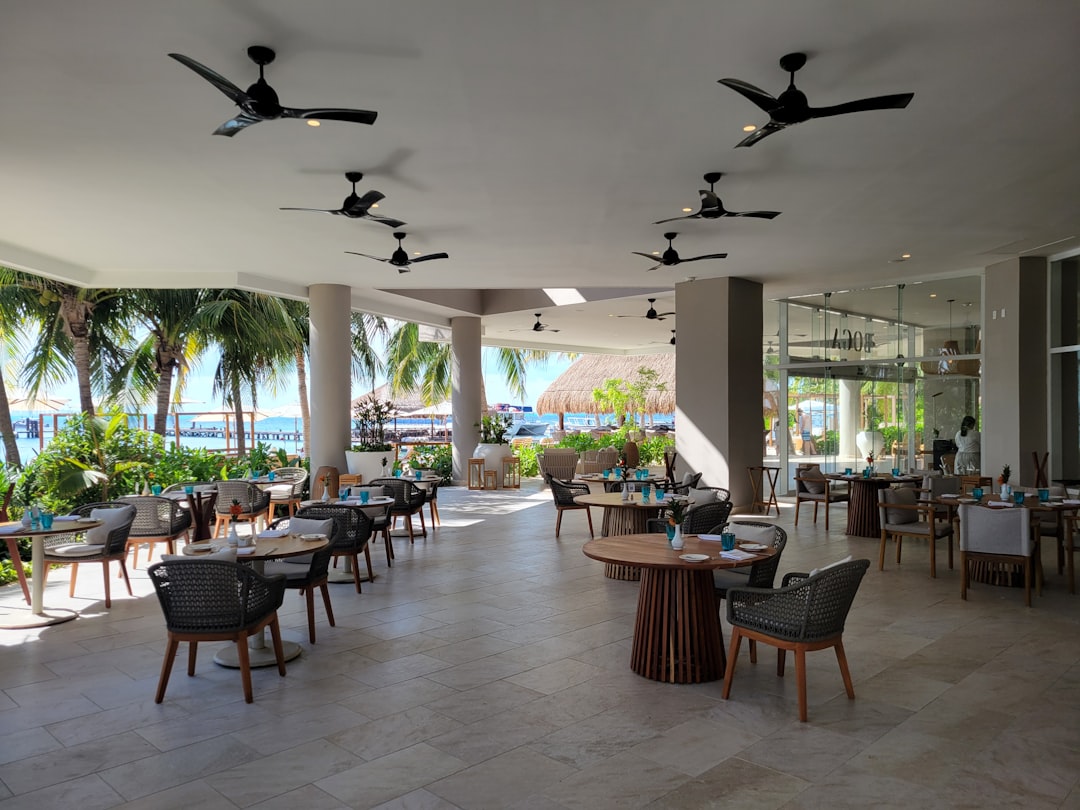 A restaurant with tables and chairs and a view of the ocean