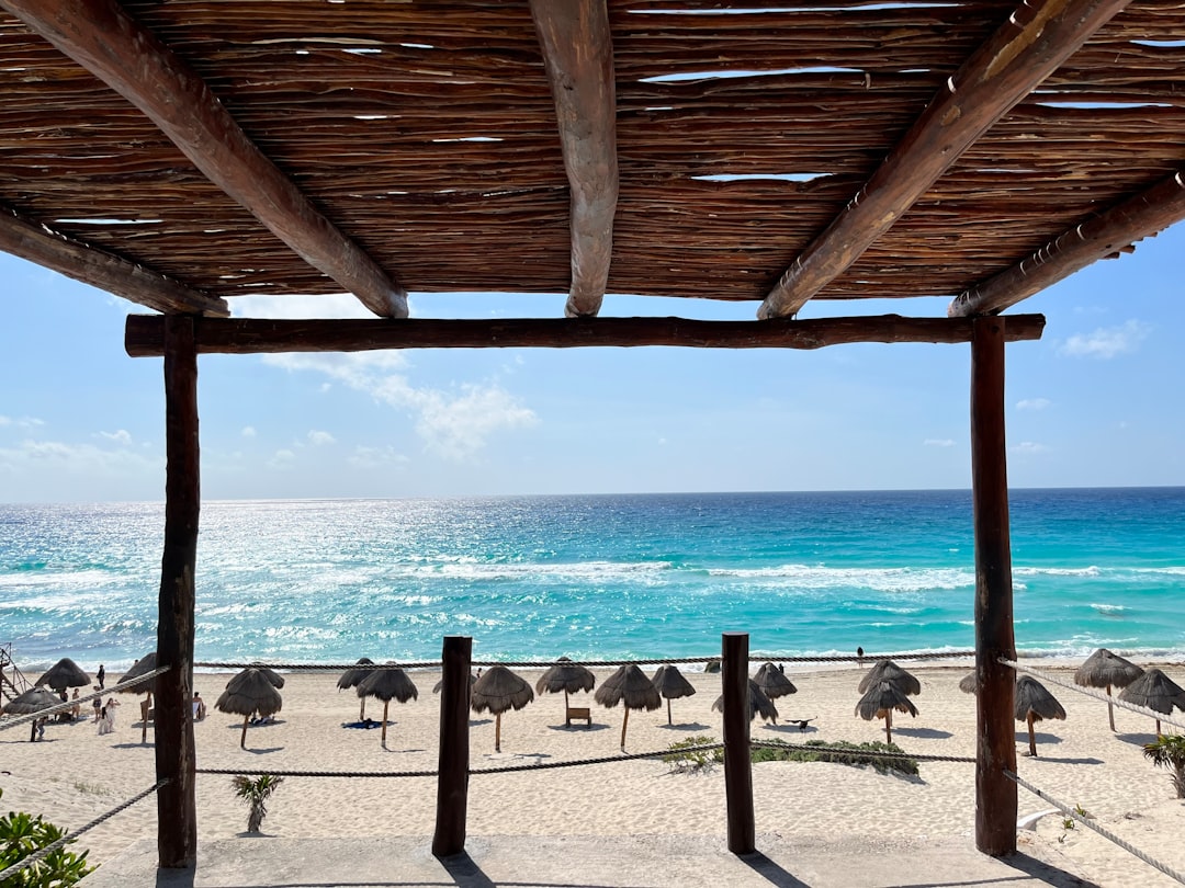 a view of a beach with umbrellas and the ocean