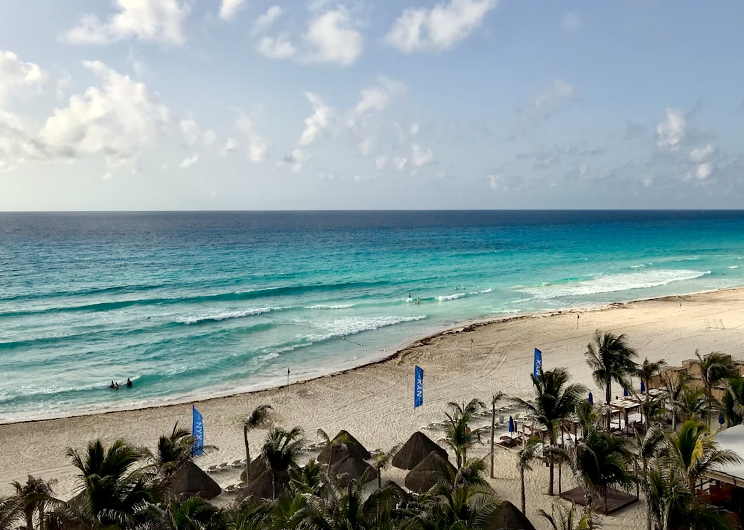 landscape photo of a beach resort