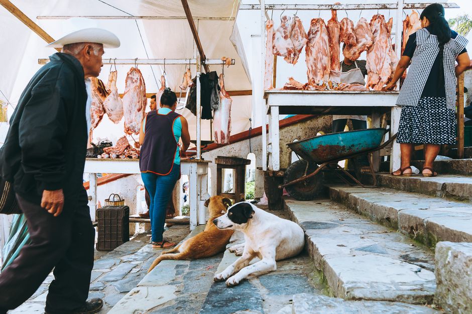 A vibrant outdoor market scene in Cuetzalan, Mexico, showcasing local vendors and meat stalls.
