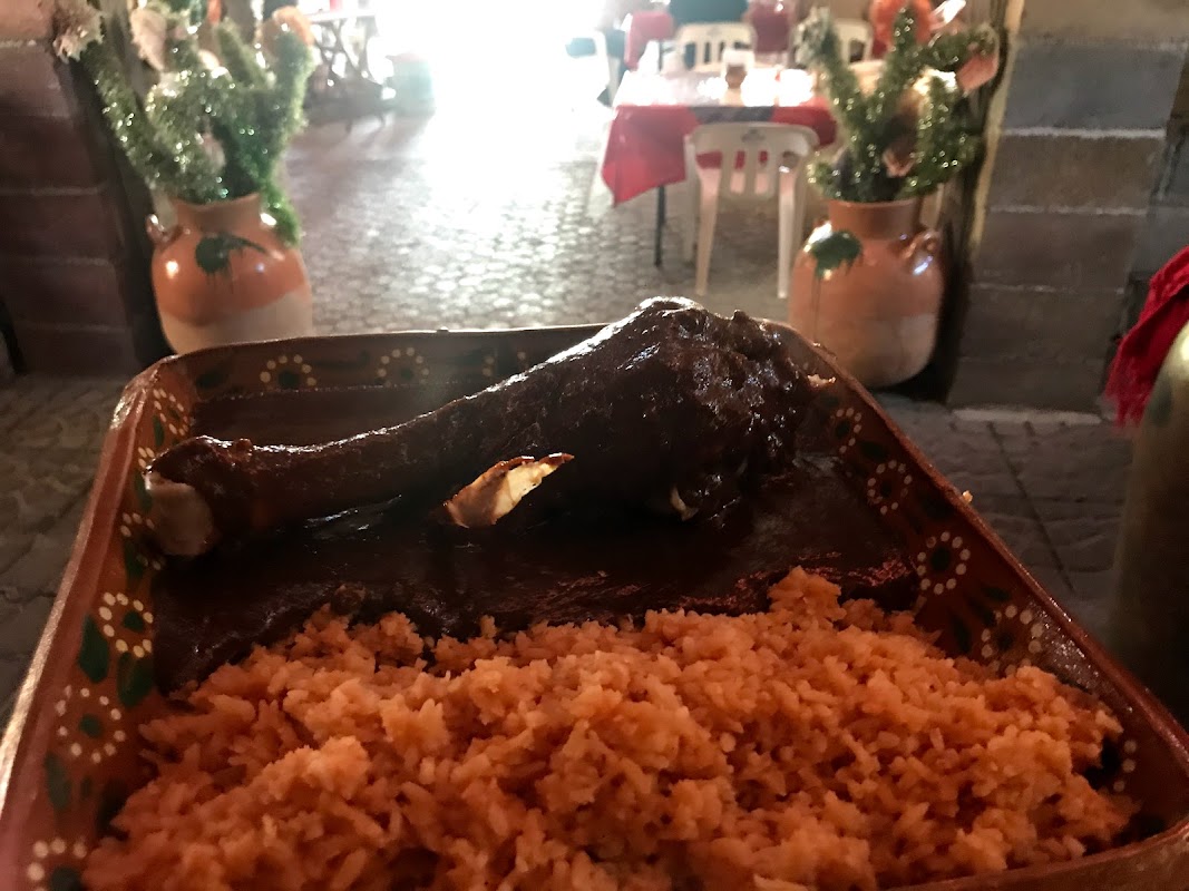 Plato de venado en salsa y una taza de olla café en Restaurante El Jacal — primer plano del plato y el jardín de fondo
