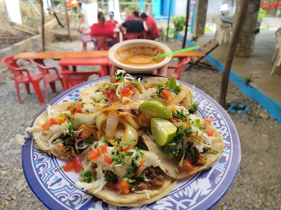 Plato de camarones al mojo de ajo en LA BOCATOMA PALAPA AZUL, mostrando el color rosado y el acompañamiento