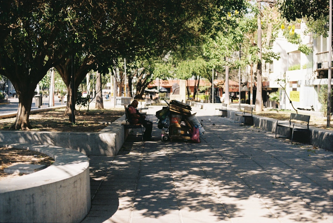 Person sitting with belongings in a park