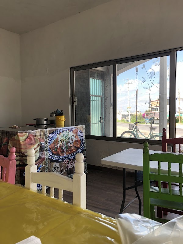 Cocina "Malintzi" mostrando su cocina abierta y un plato de enchiladas verdes al frente