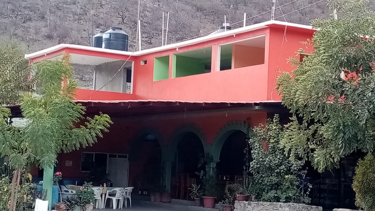 Restaurante El Guero — street view of the façade and a plate of tacos al pastor on the table