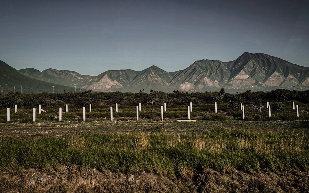 A field with mountains in the background