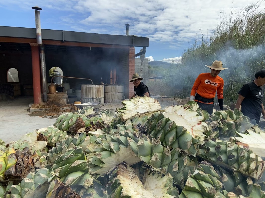 Primer plano del mezcal de Pechuga servido en copa de barro con rodaja de naranja y sal de gusano
