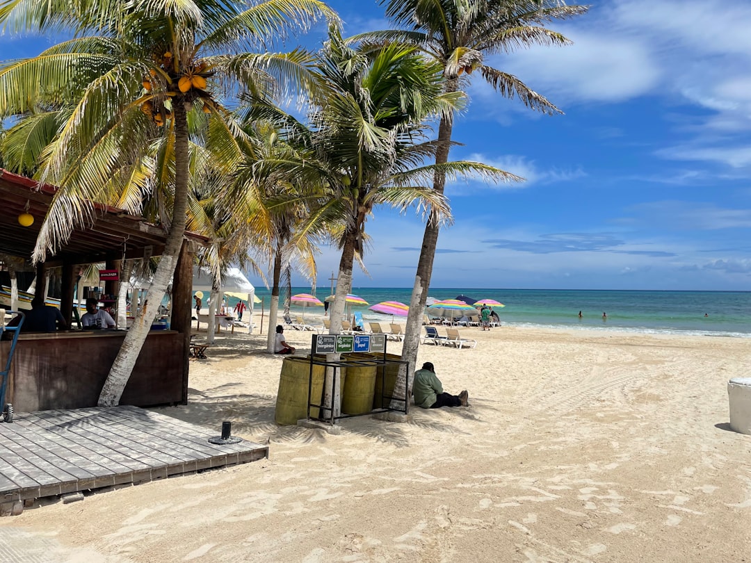 a beach with palm trees and people sitting under umbrellas