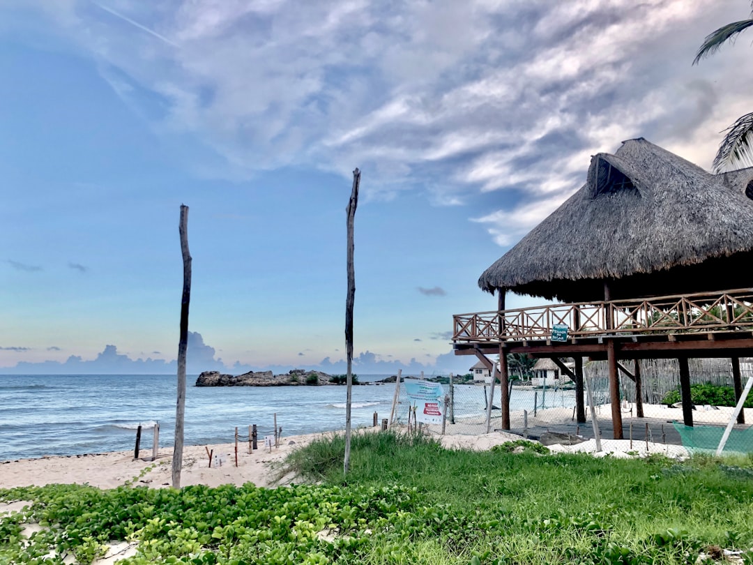 a hut on a beach next to the ocean