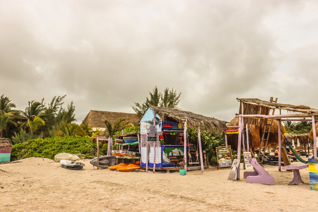 a sandy beach covered in lots of different types of items
