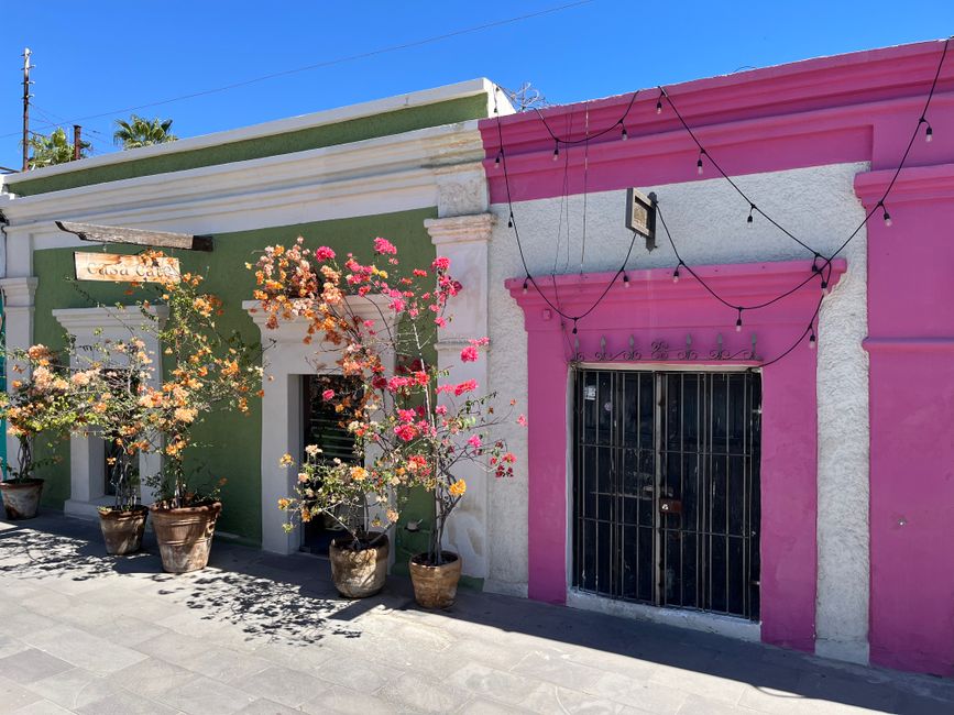 Vibrant street view in San José del Cabo, showcasing colorful facades with blooming bougainvilleas.