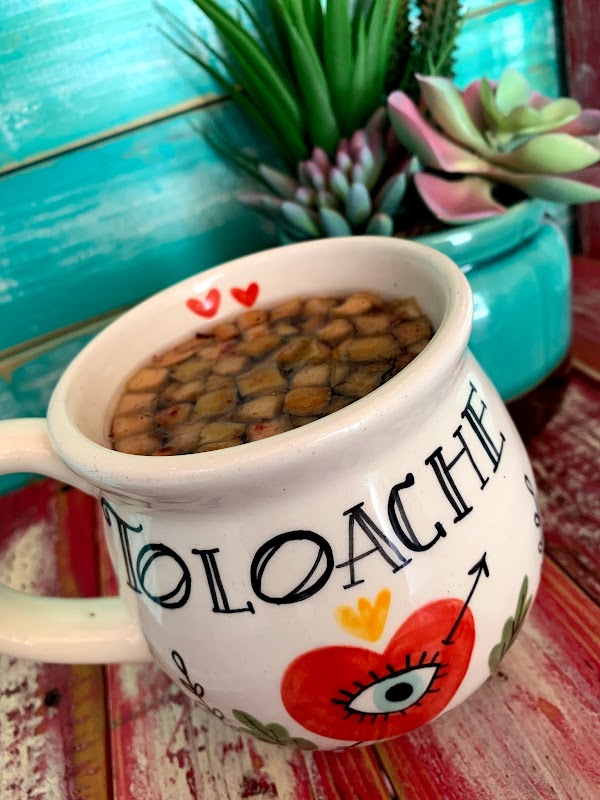 Dulce Amor Café y Garnacha SLP – chilaquiles veganos con salsa roja y guarnición de aguacate, con murales del café al fondo
