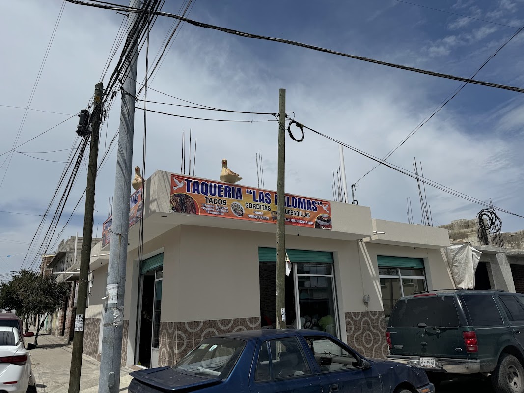 Exterior de El Tepehuisco, Truchas y Mariscos con luces nocturnas y clientes sentados en la terraza