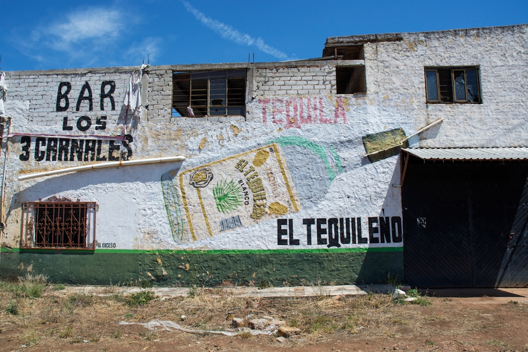 A building with a mural on the side of it