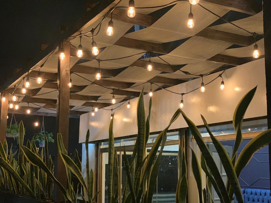 ANDALUCÍA Café — waffle de chilaquiles en plato, rodeado de plantas y luz natural