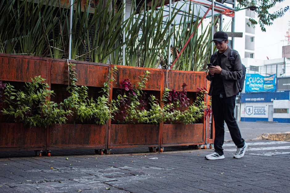 Man checks phone while walking past vibrant city plants in Mexico City.